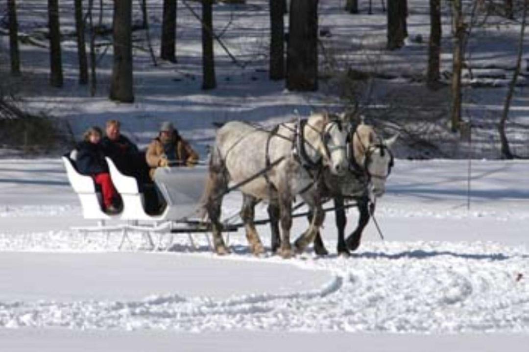 Photo of Others in Geneseo