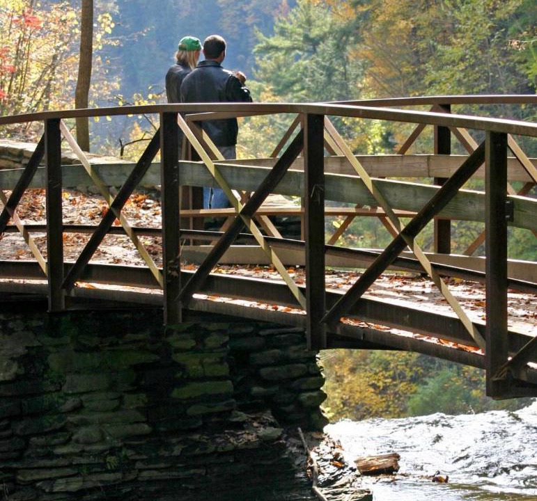 Photo of Others in Geneseo