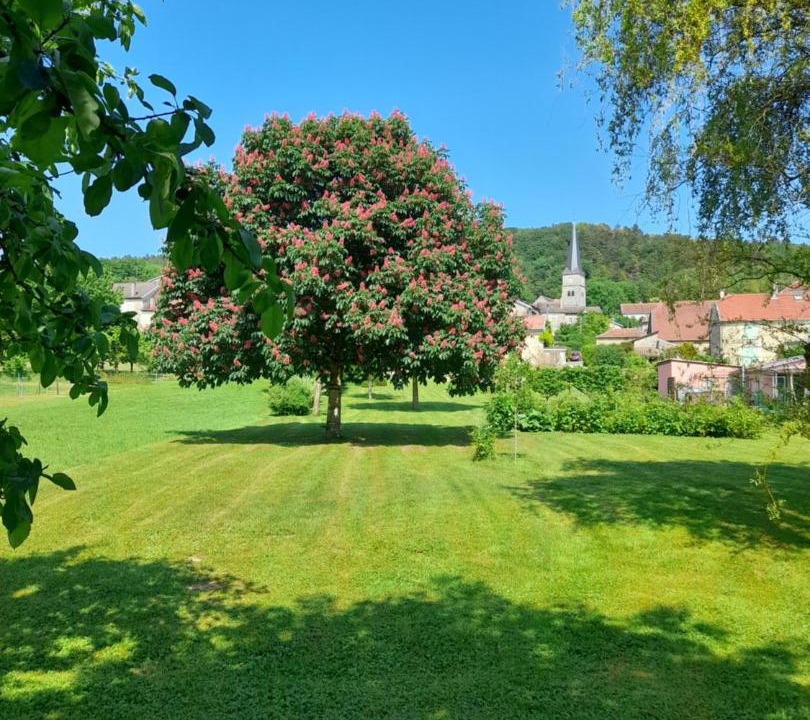 Photo of Others in Bologne