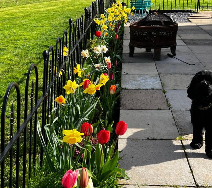Photo of Patio Balcony in Monmouth