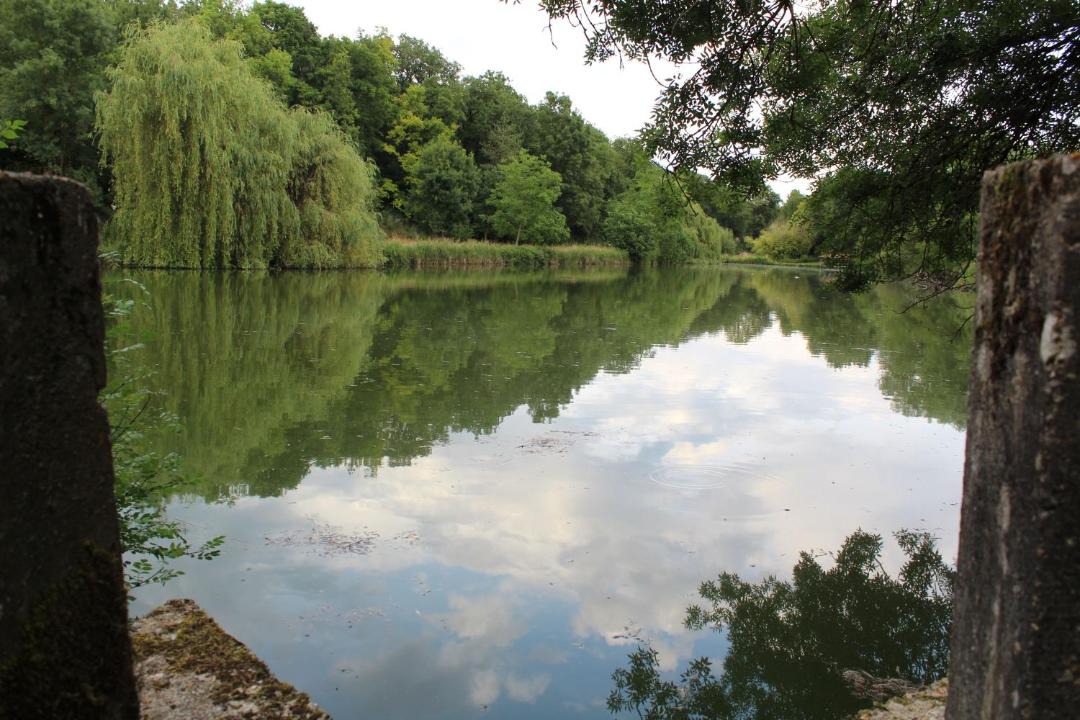Photo of Outdoor in Chalonnes-sous-le-Lude