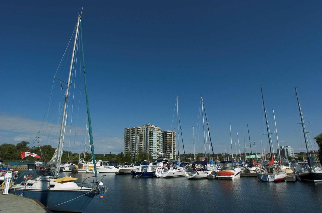Photo of Others in Barrie