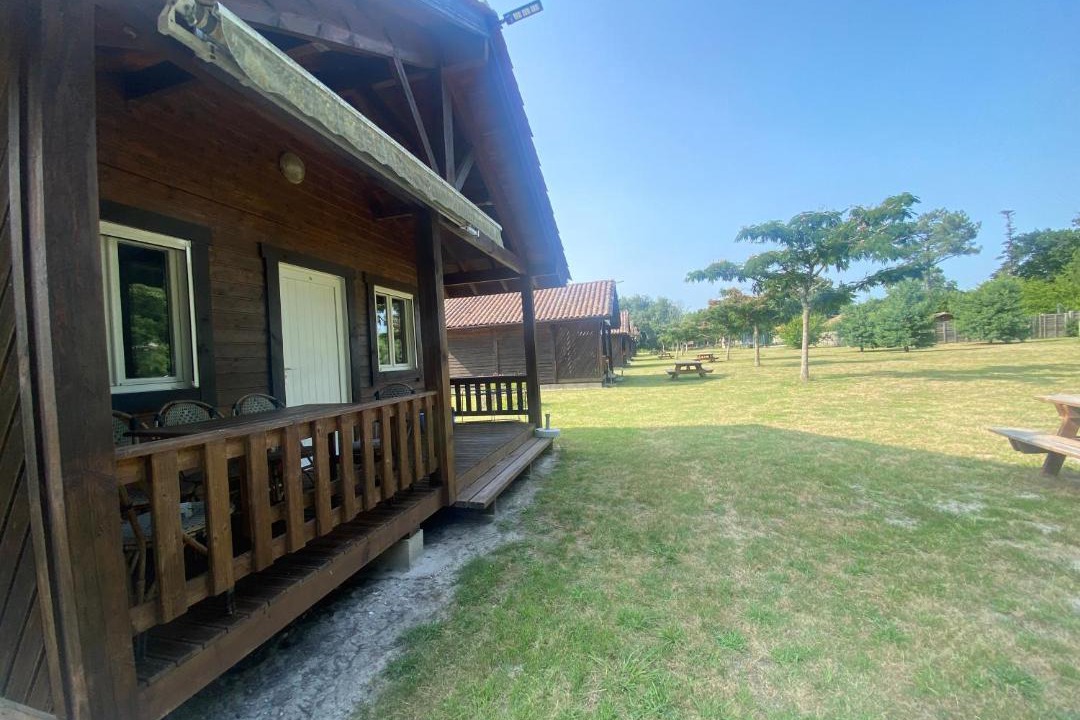 Photo of Others in Uza