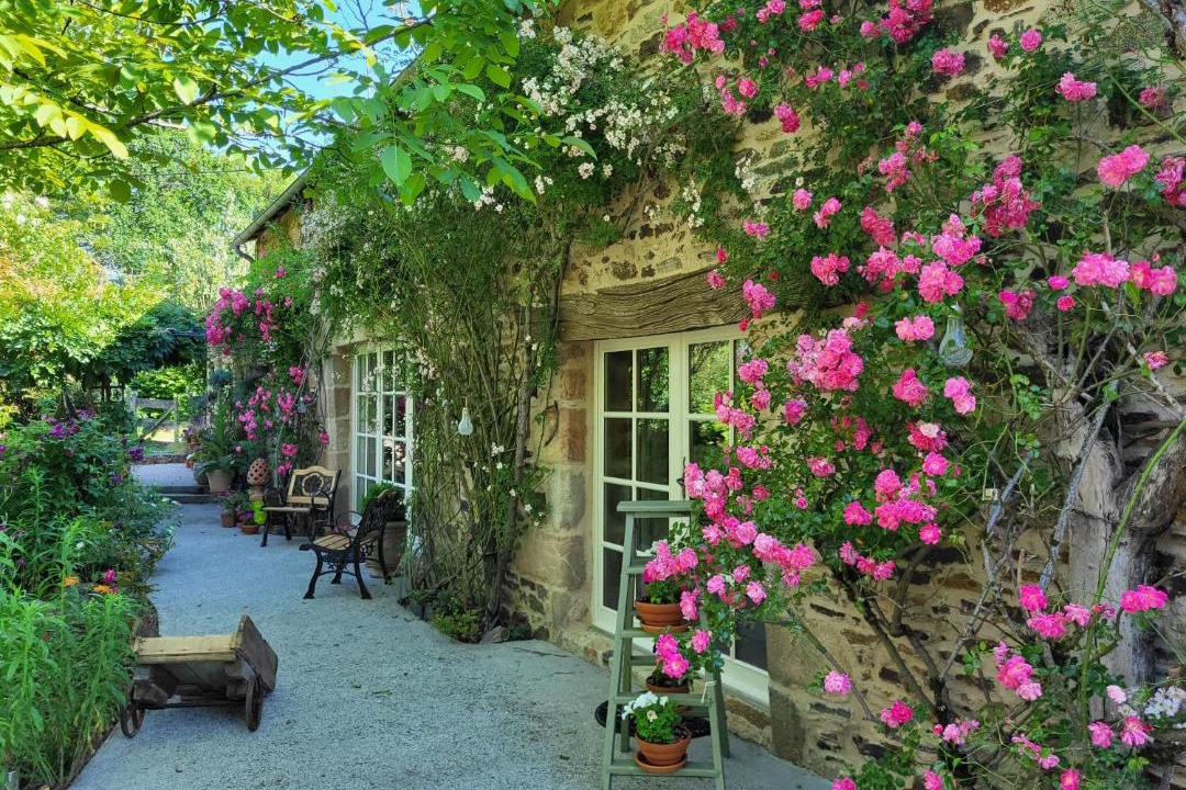 Photo of Others in Chamboulive