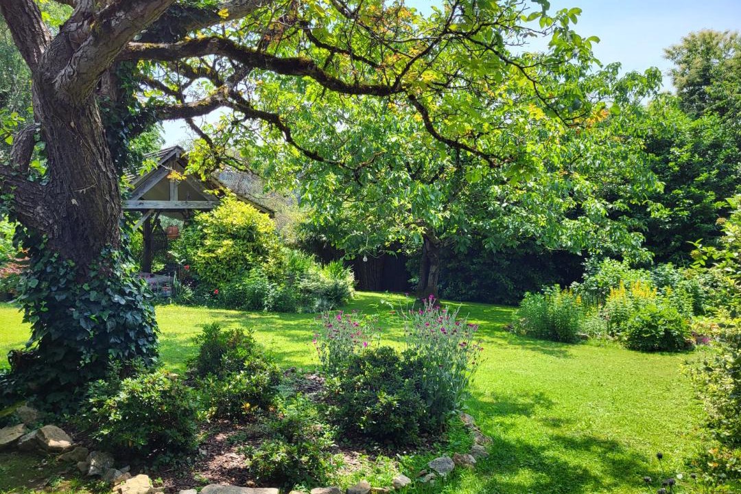 Photo of Others in Chamboulive