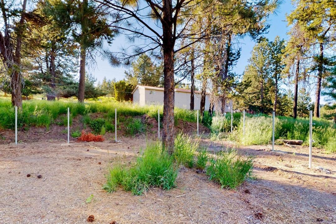 Photo of Others in Cascade