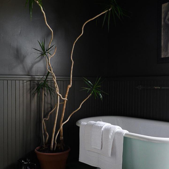 Photo of Others in Waldoboro