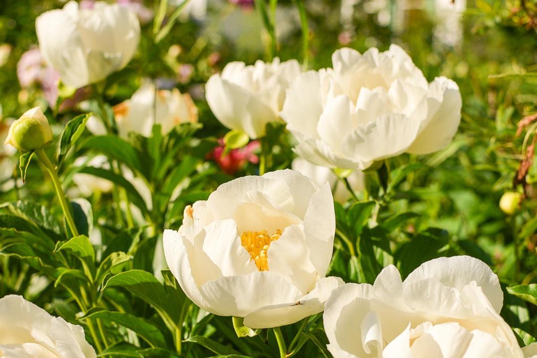 Photo of Others in Waldoboro