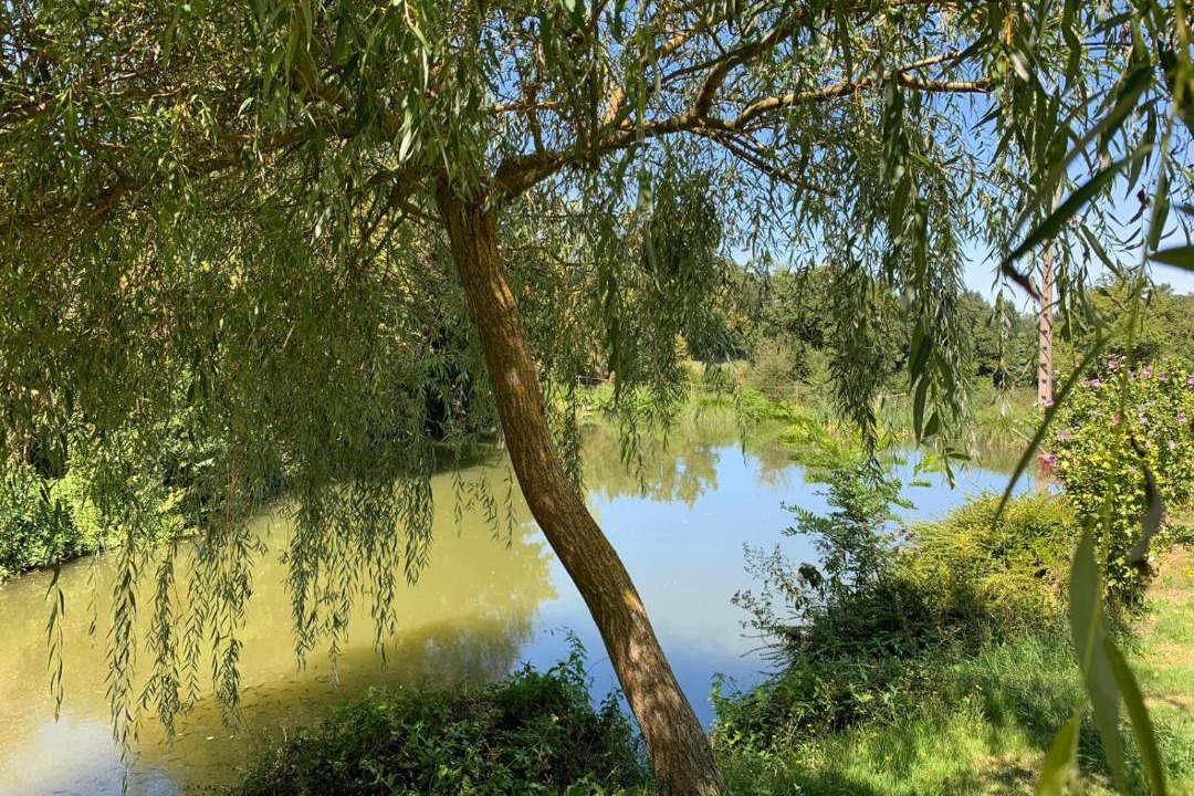 Photo of Others in La Bastide-l'Eveque