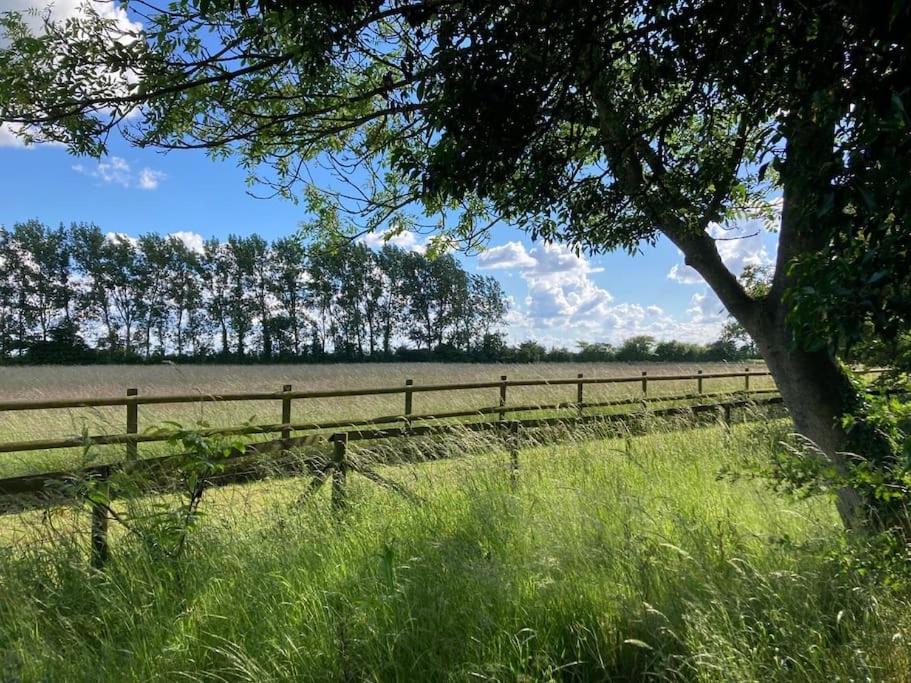 Photo of Others in Woodbridge