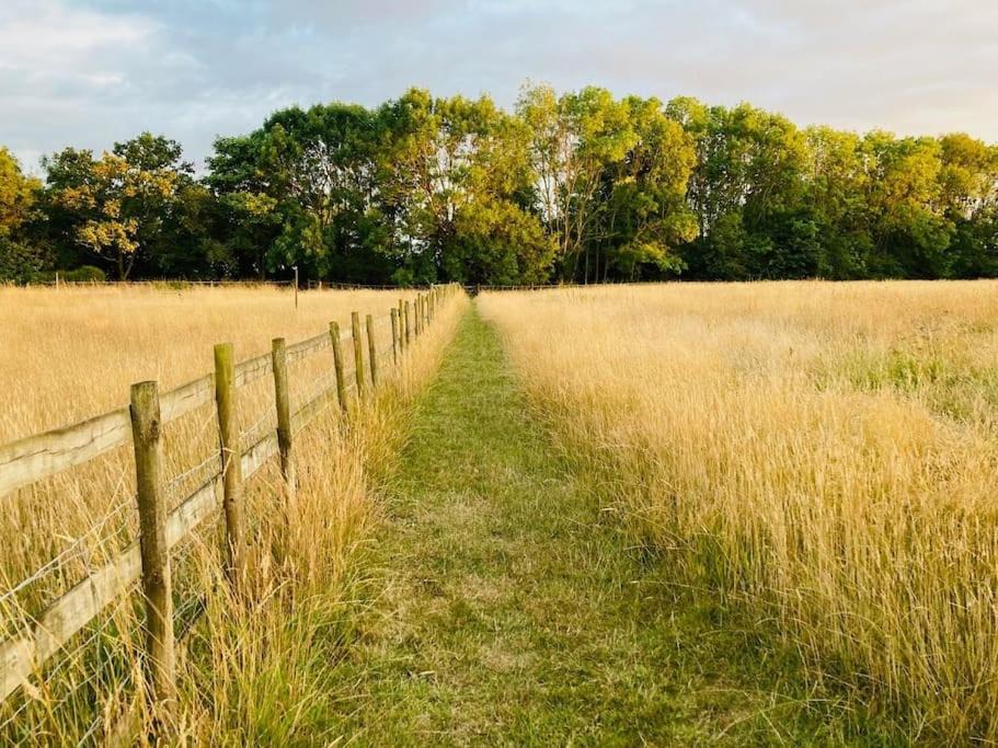 Photo of Others in Woodbridge