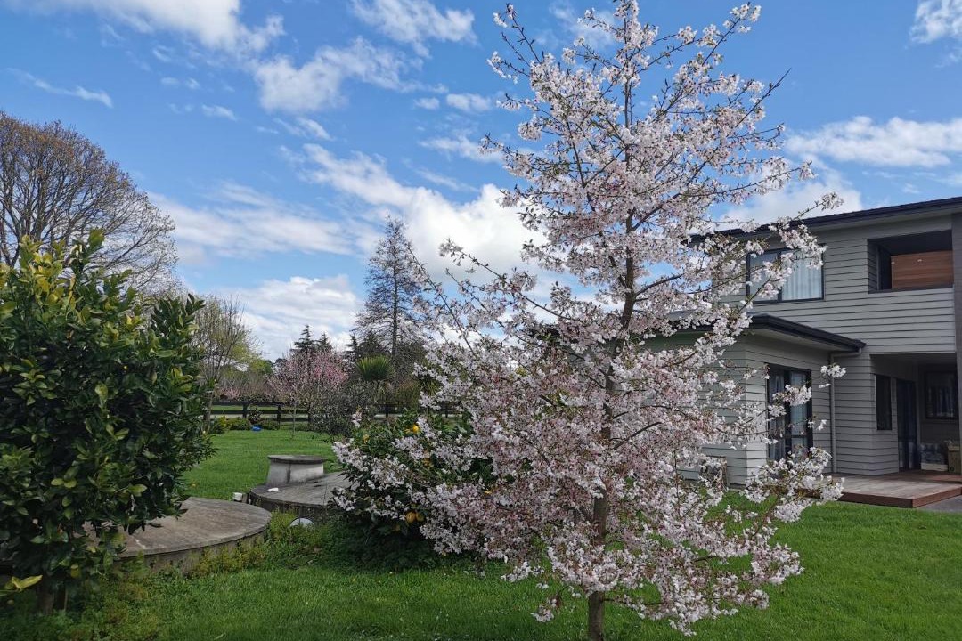 Photo of Others in Tamahere