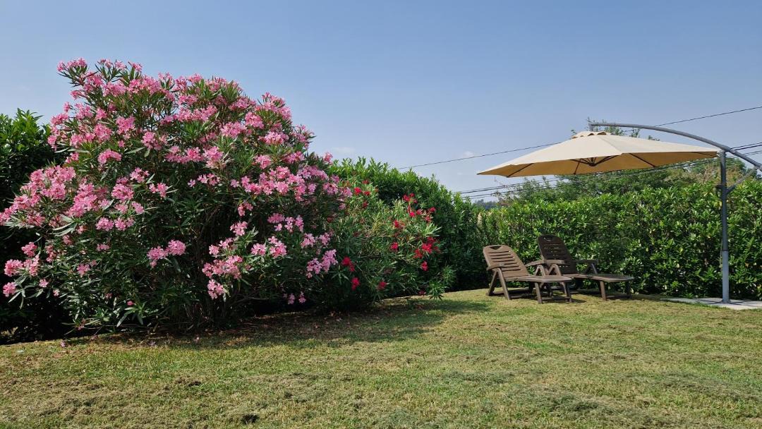 Photo of Others in Lempaut