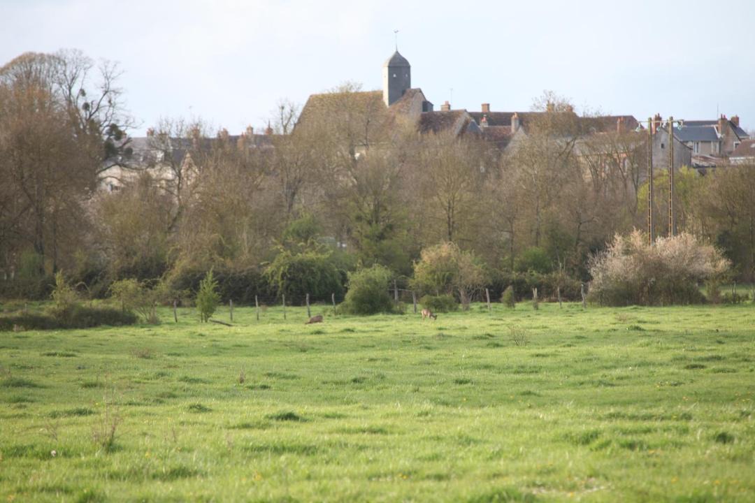 Photo of Outdoor in Neuille-le-Lierre