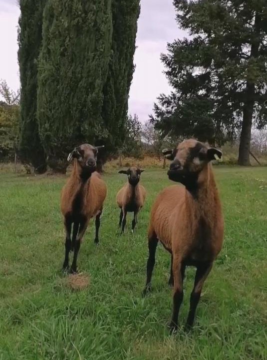 Photo of Others in Vergt