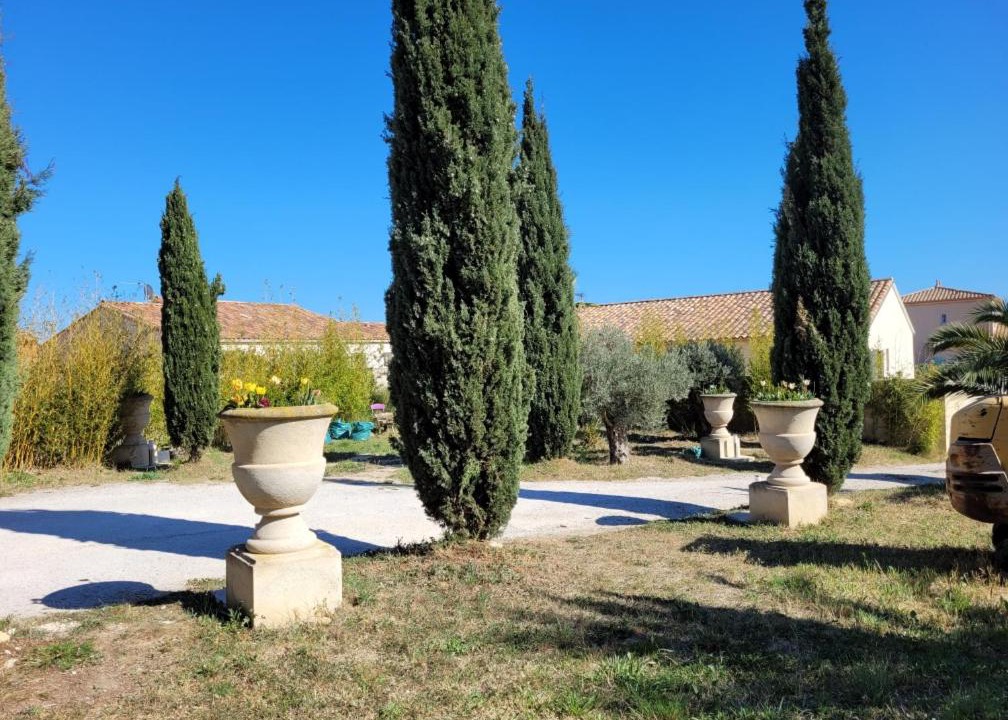 Photo of Outdoor in Loupian