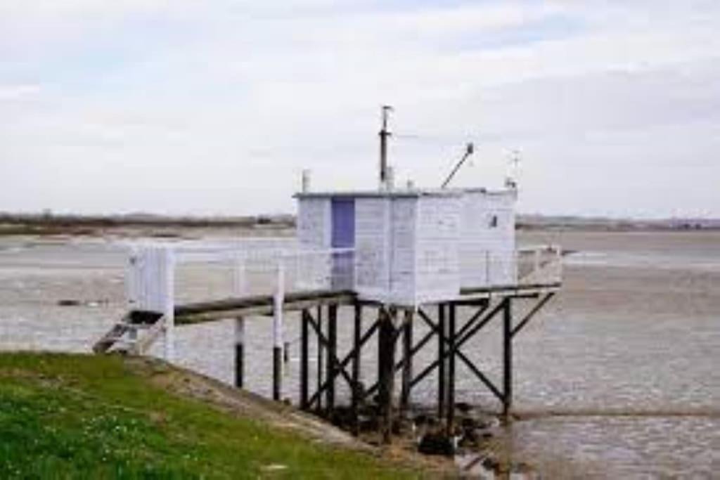 Photo of Others in Cussac-Fort-Medoc