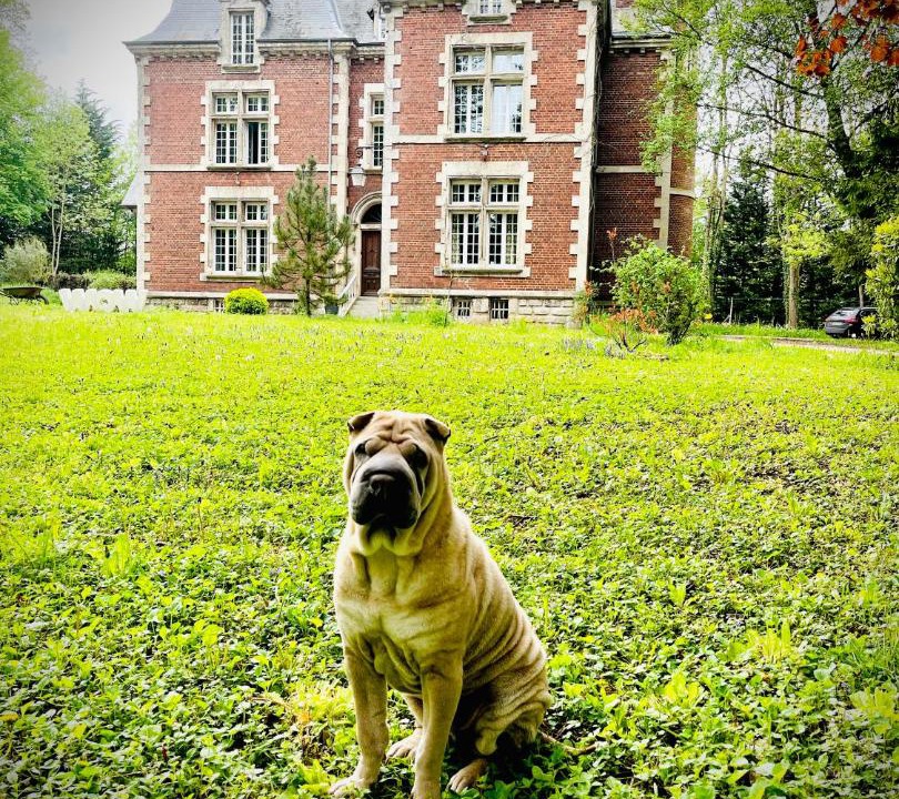 Photo of Others in Poix-Terron