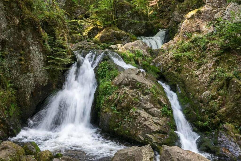 Photo of Others in Docelles