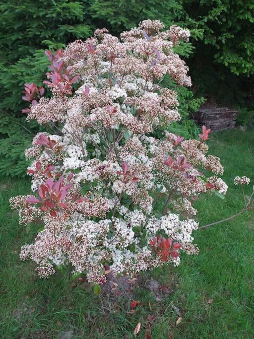 Photo of Others in Docelles