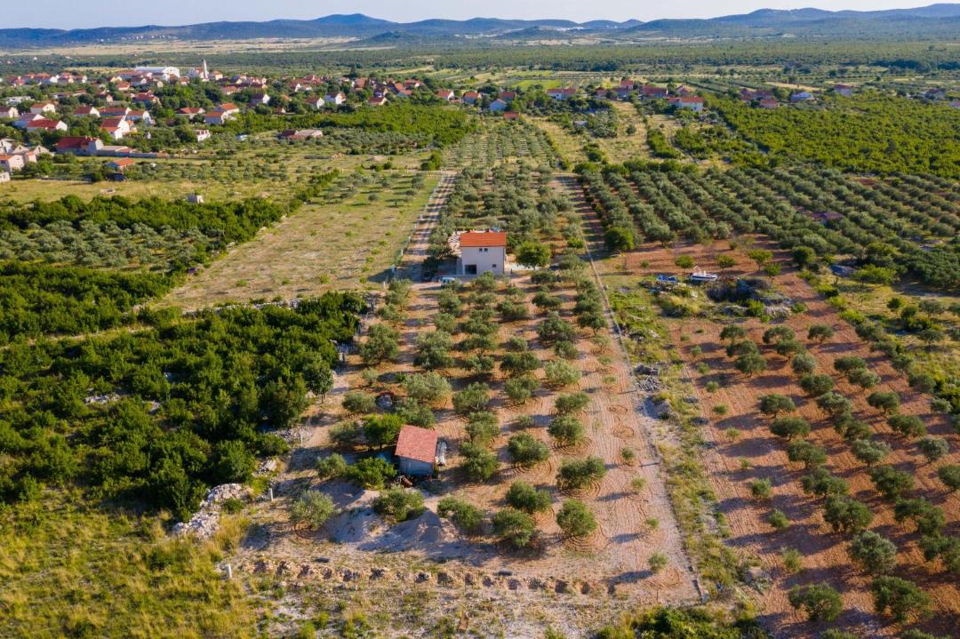 Photo of Outdoor in Cista Velika