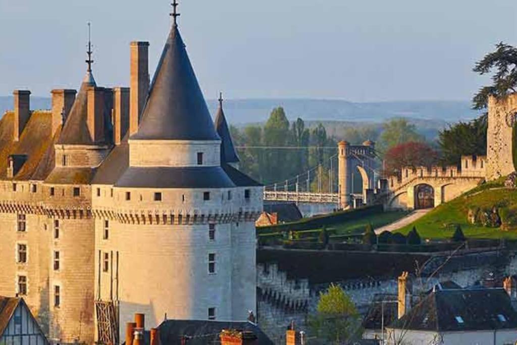 Photo of Others in Langeais