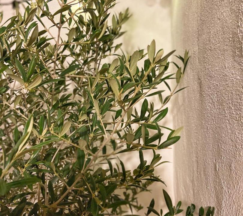 Photo of Others in Bethune