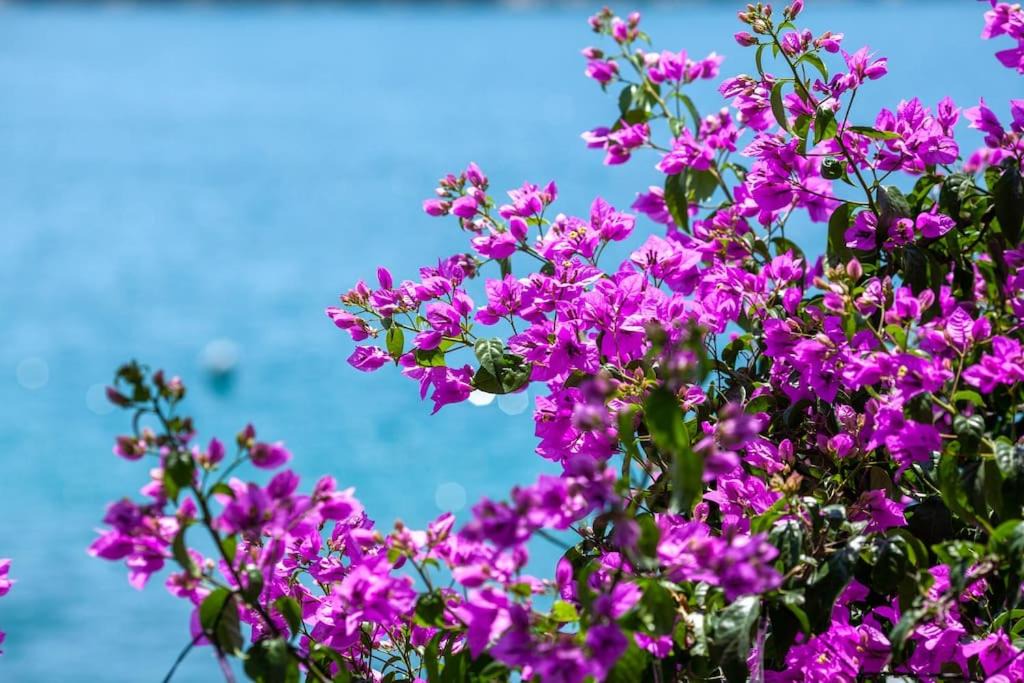 Photo of Outdoor in Tijesno
