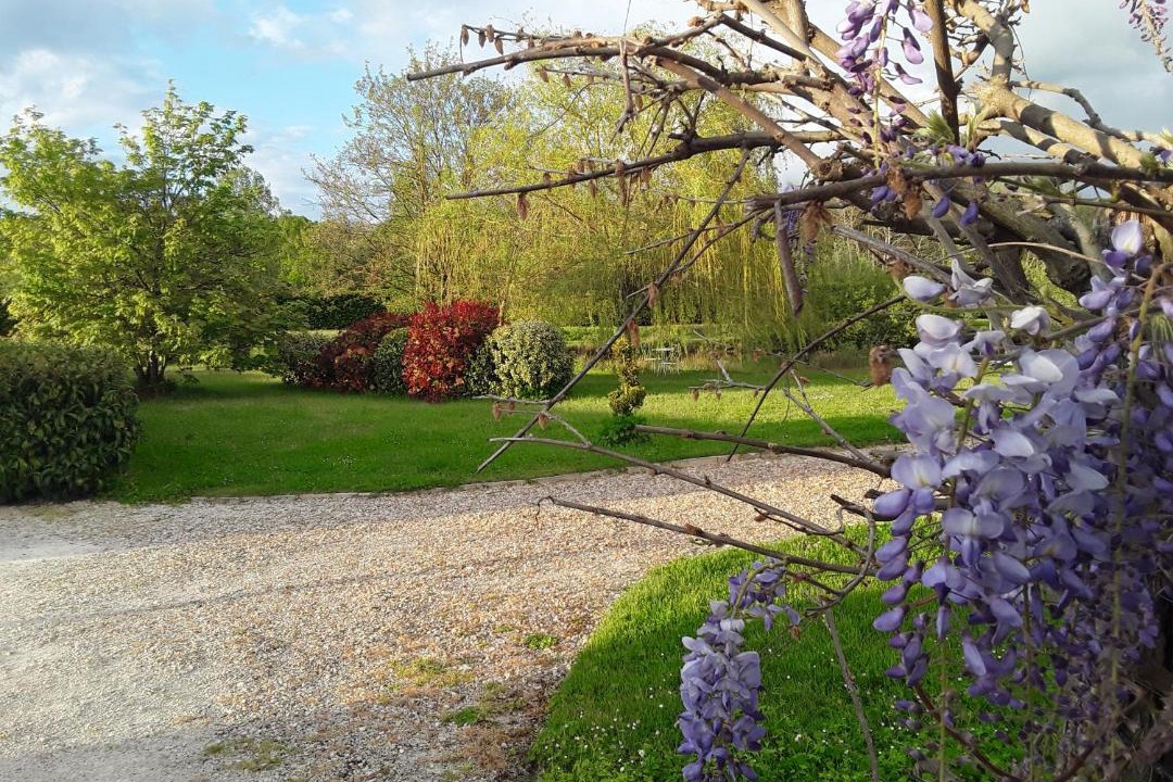 Photo of Others in Tour-en-Sologne