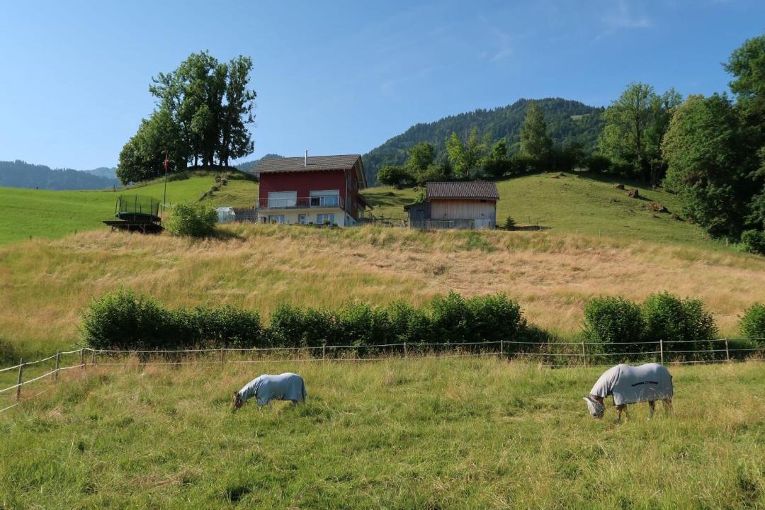 Photo of Others in Reichenburg