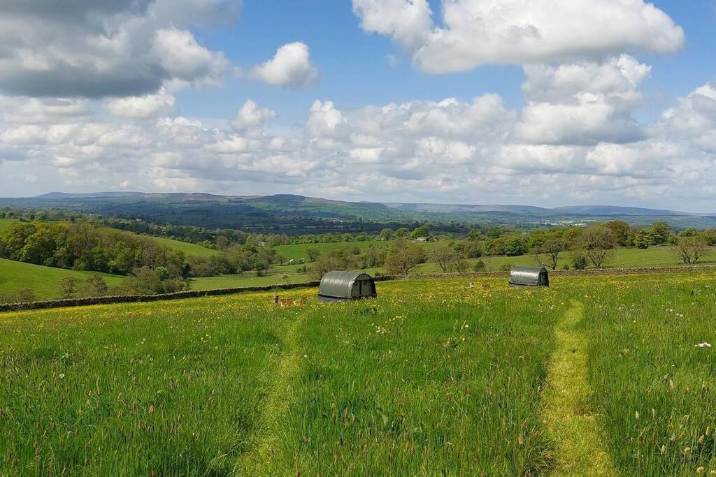 Photo of Others in Fence