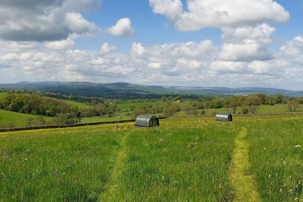 Photo of Others in Fence