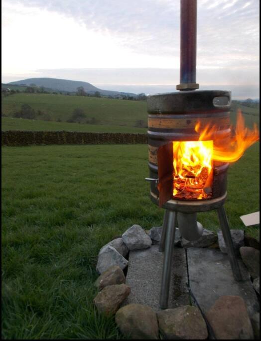 Photo of Others in Fence