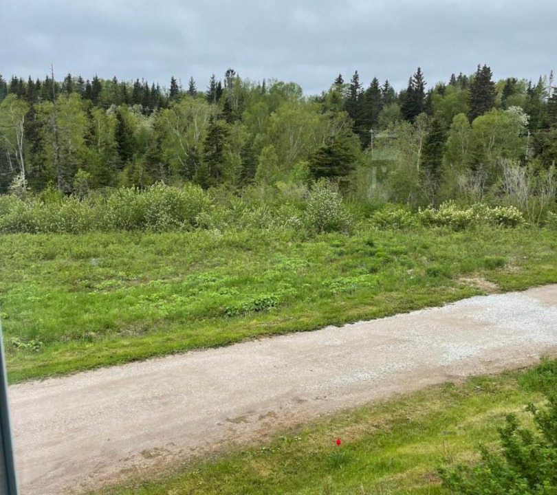 Photo of Others in Cormack