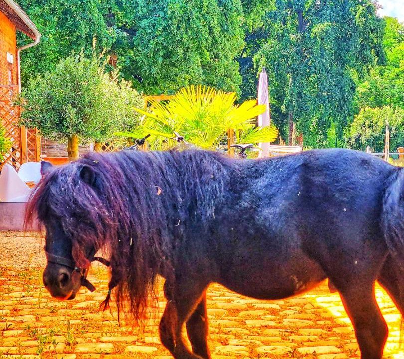 Photo of Others in Lamorlaye