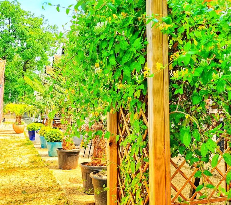 Photo of Others in Lamorlaye