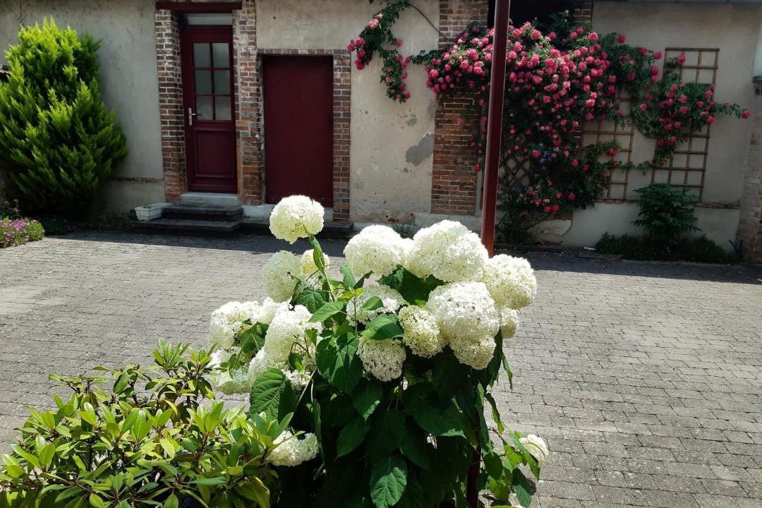 Photo of Others in Neuvy-sur-Barangeon