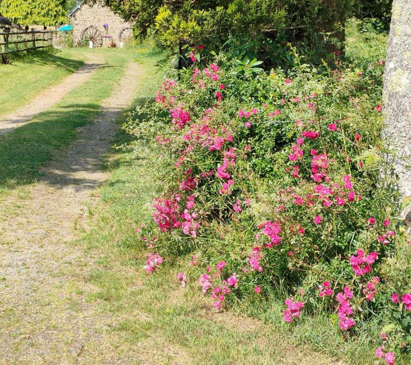 Photo of Others in Buais-les-Monts
