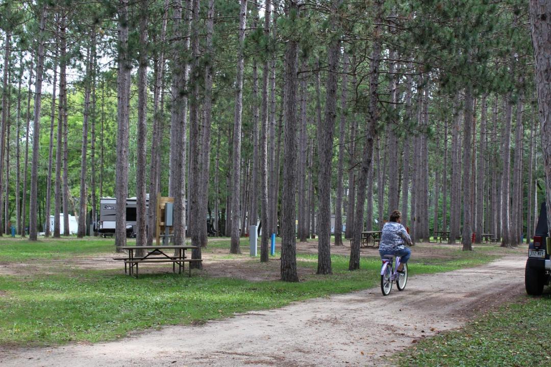 Photo of Others in Lyndon Station