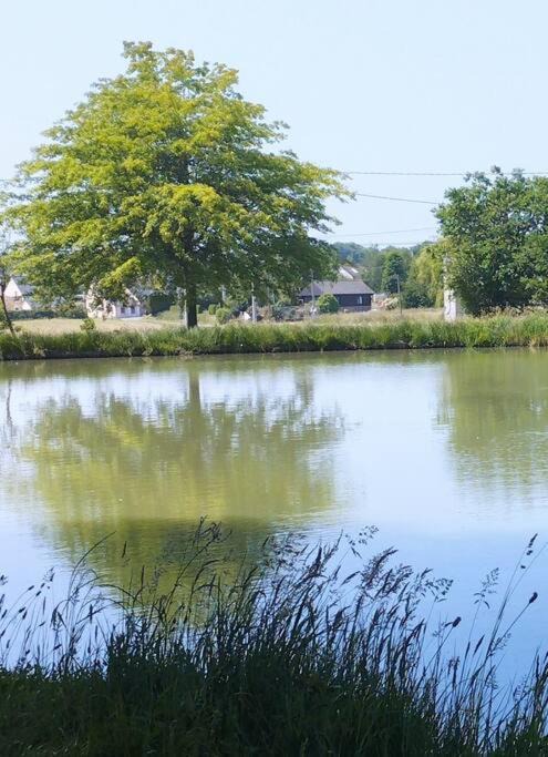 Photo of Outdoor in Meillac