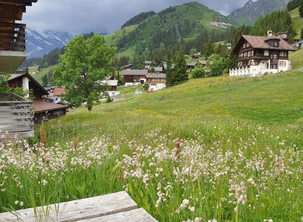 Photo of Others in Murren