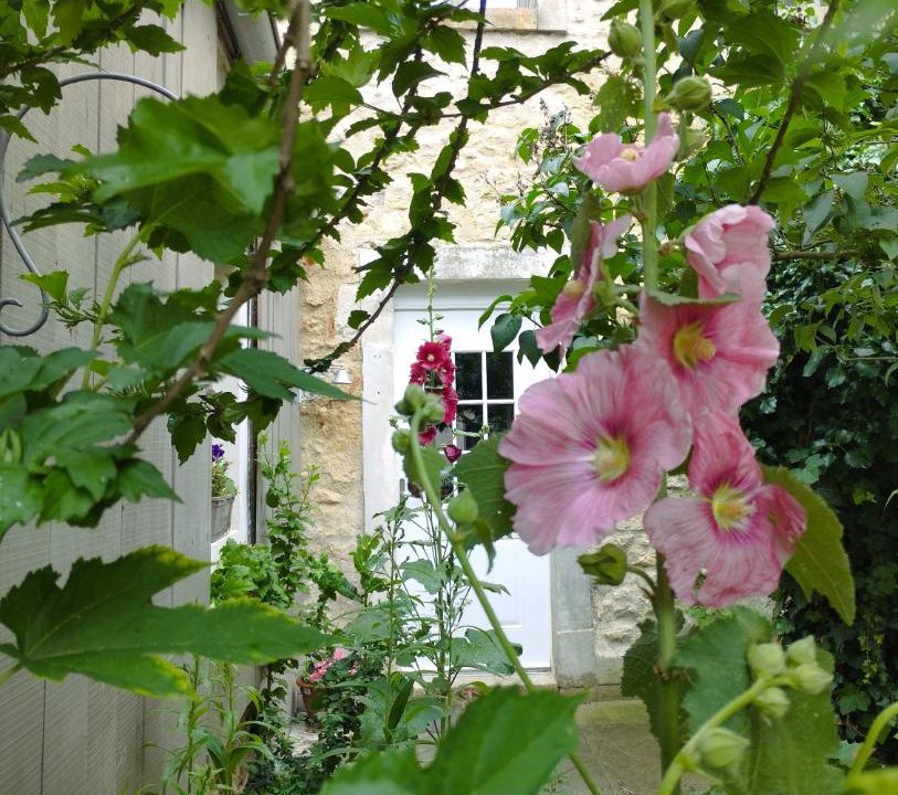 Photo of Others in Le Bailleul