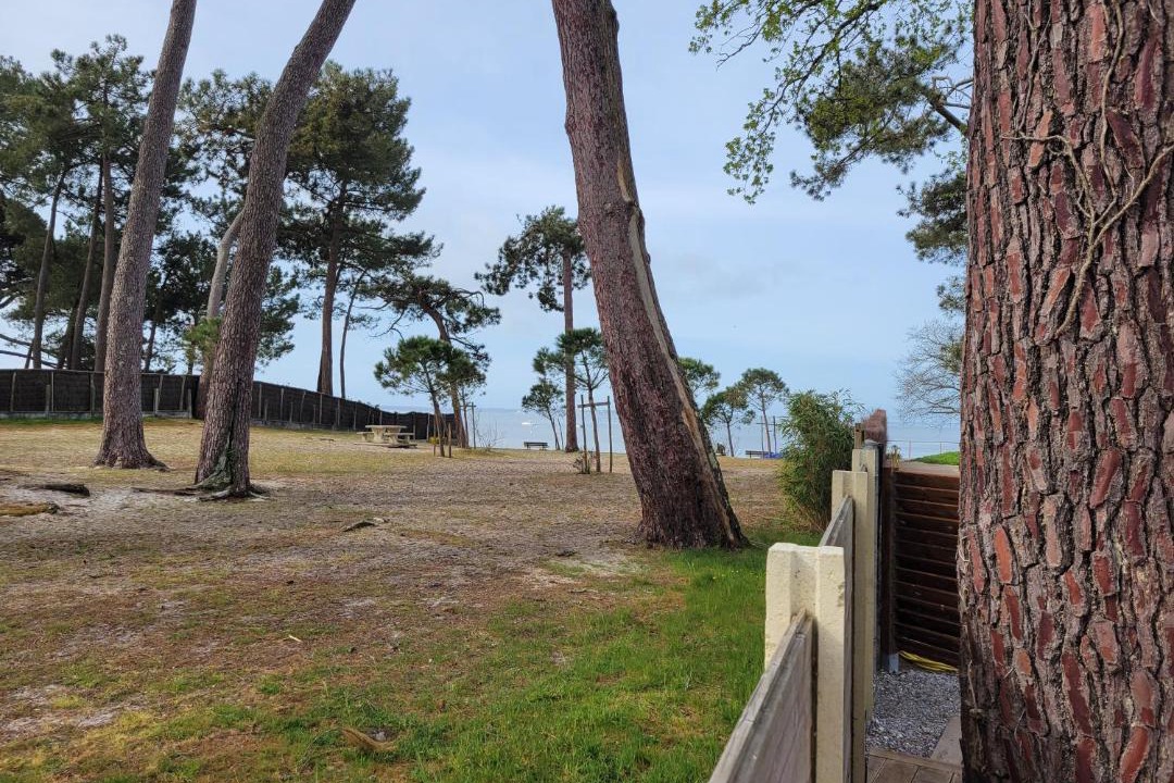 Photo of Others in Taussat