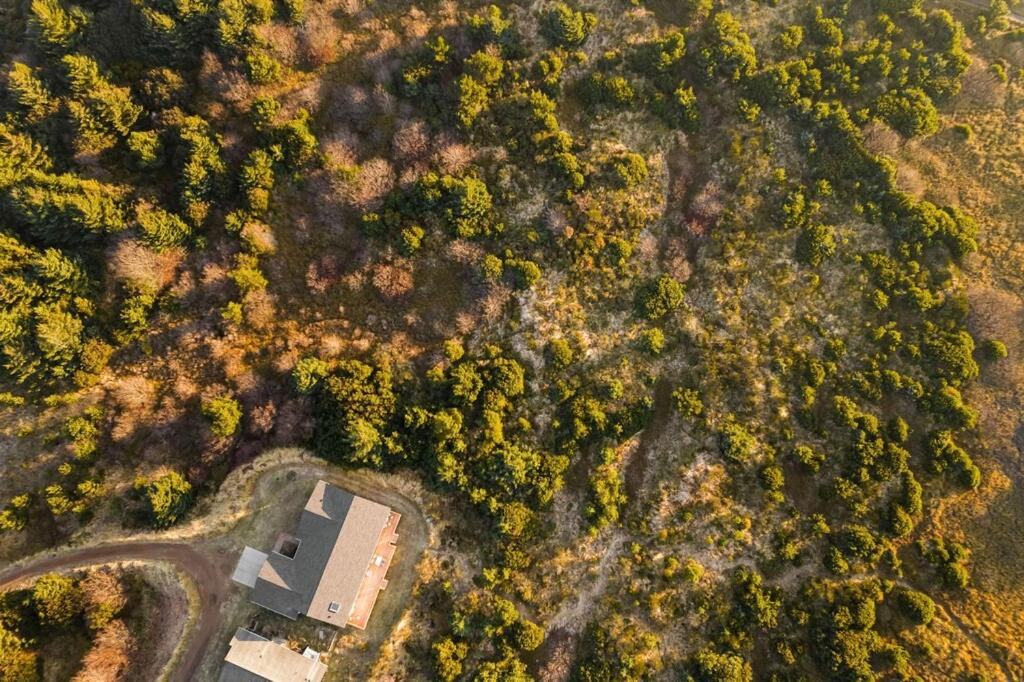 Photo of Others in Ocean City