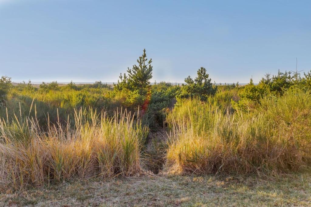 Photo of Others in Ocean City