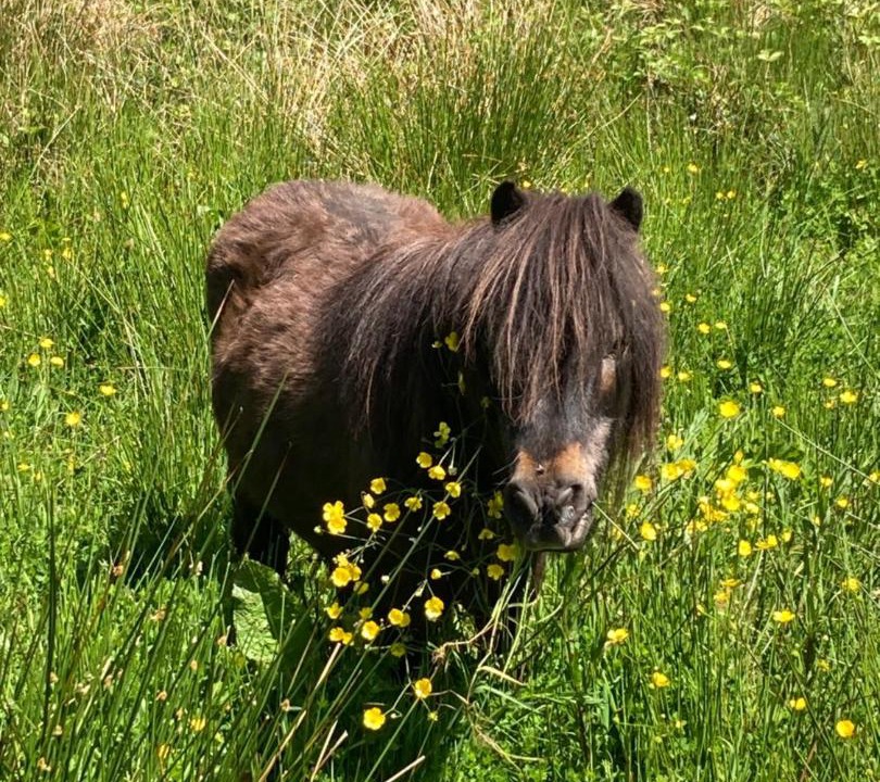 Photo of Others in Mawr