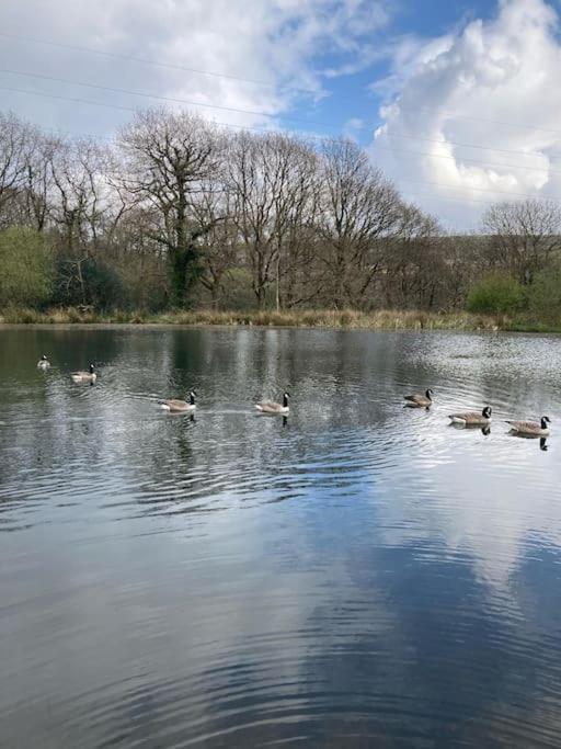 Photo of Outdoor in Mawr