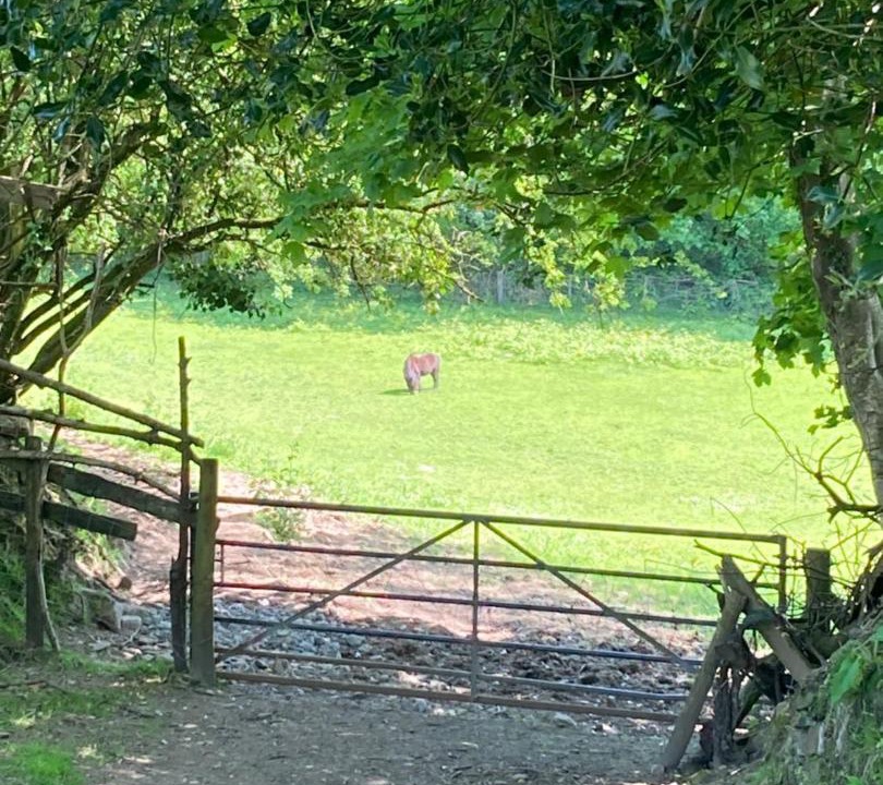 Photo of Others in Mawr