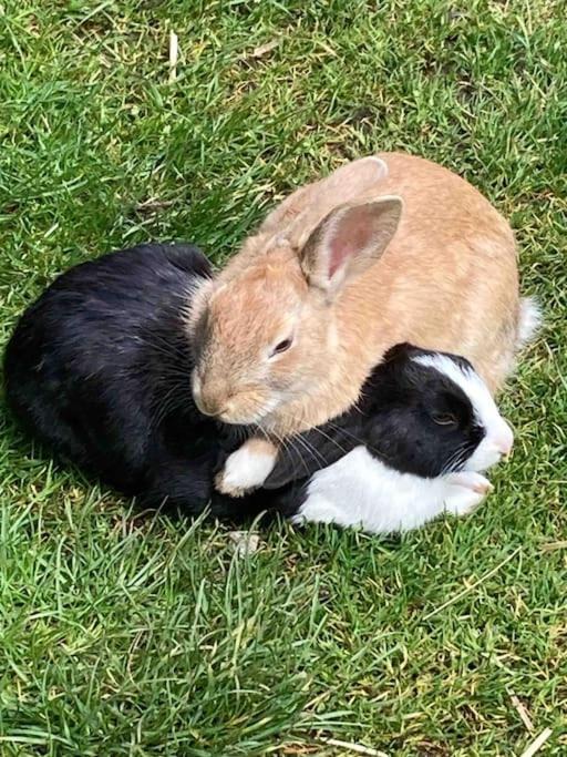 Photo of Others in Mawr