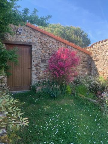 Photo of Others in Le Bignon